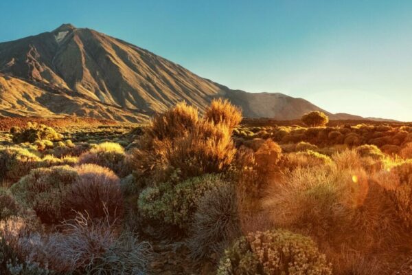 Teide, Teneriffa, Fortbildungswoche Kanaren, Sonnenuntergang